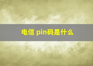 电信 pin码是什么